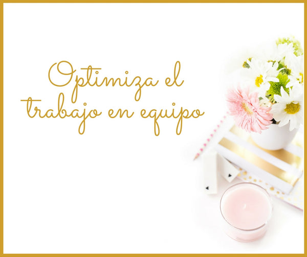 Optimizando el trabajo en equipo