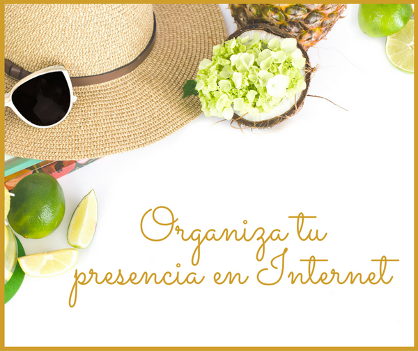 Organiza tu presencia en linea
