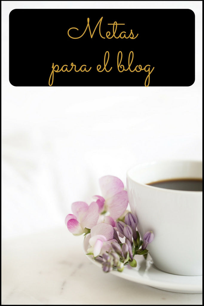 Metas mensuales para el Blog